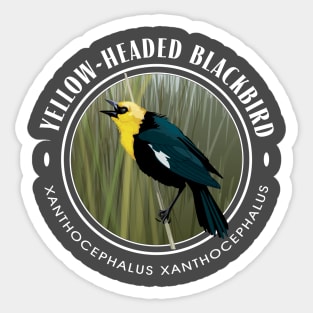 Yellow-Headed Black Bird Round Sticker